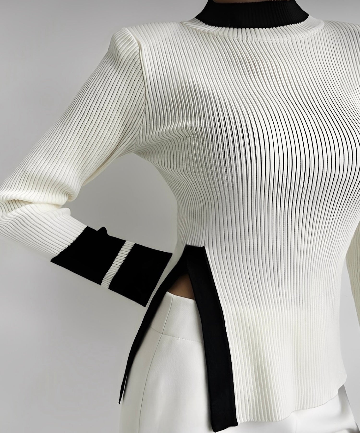 モードバイカラーハイネックトップス